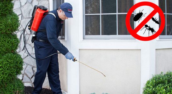 Tavas Gümüşkurt İlaçlama böcek ilaçlama ve haşere kontrolü — ilaclama-tr.com
